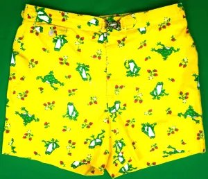 "Chipp Yellow Swim Trunks w/ Green Frog/ Strawberry Print" Sz 35 (SOLD)